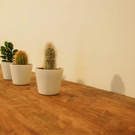 Apartment Da Nonna Pina *